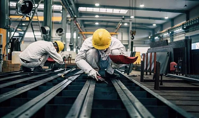 Buharkent Kertenkele İlaçlama